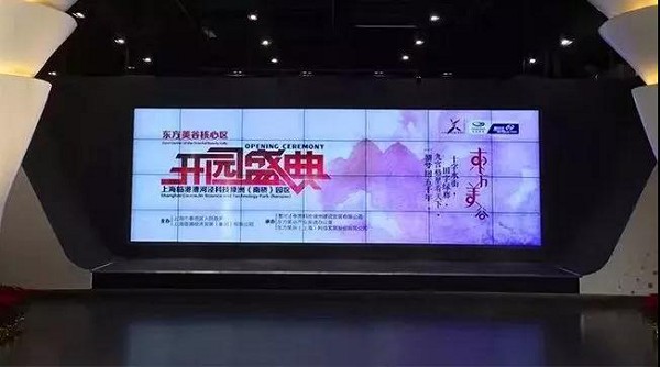 今天，全世界都在想方設(shè)法欺騙你；而我們始終如一